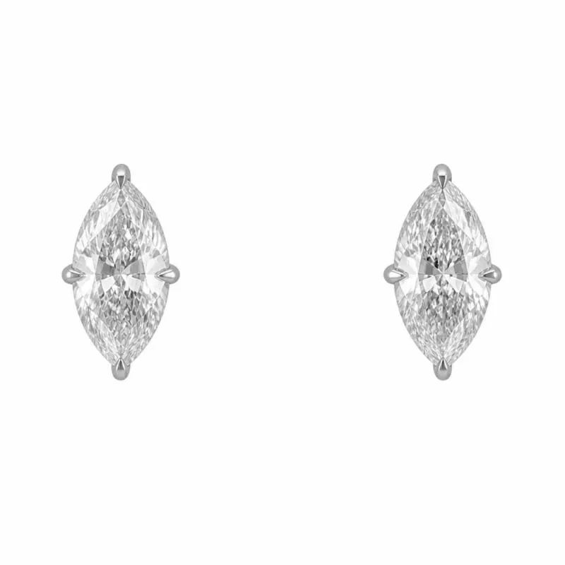 ECV2061